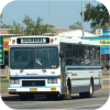 Buslink Darwin